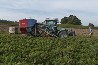 Les pertes d'azote et de phosphore dans l'agriculture suisse sont toujours trop élevées par rapport aux objectifs environnementaux définis par la Confédération (image d'illustration). KEYSTONE/CHRISTIAN BEUTLER